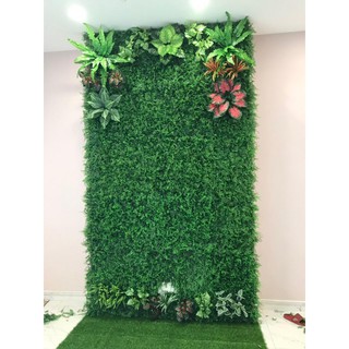 Cỏ treo tường tai chuột kích thước 60cm x 40cm.