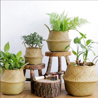 Chậu cây cảnh bằng mây có thể gập lại được