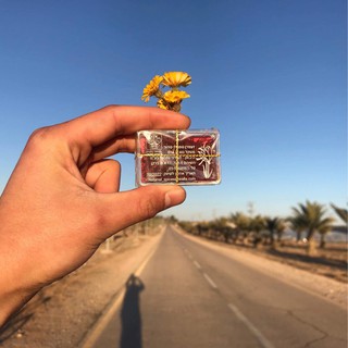 Saffron - Tây Ban Nha