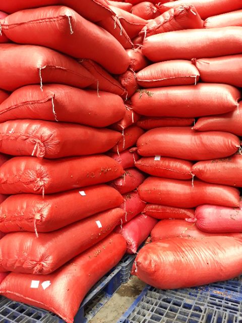 [Mã 267FMCGSALE giảm 8% đơn 500K] 1kg Hạt dưa TÂN KÝ_ Huế_ loại 1, chính gốc | BigBuy360 - bigbuy360.vn