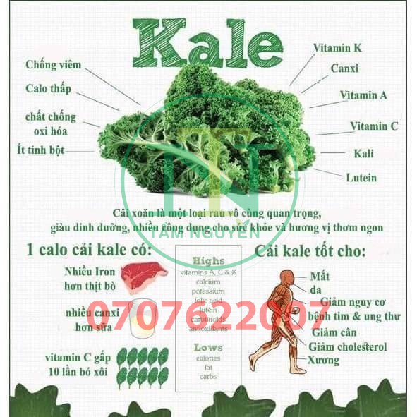 Mì cải Kale Organic 500g-Hàng Công Ty Isito | BigBuy360 - bigbuy360.vn