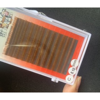 thanh lí mi nâu ( 2)