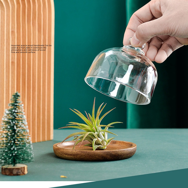 Giá Đỡ Bánh Kem / Acacia Mini Đa Năng Có Nắp Vòm Dành Cho Khách Sạn (4 Cái)