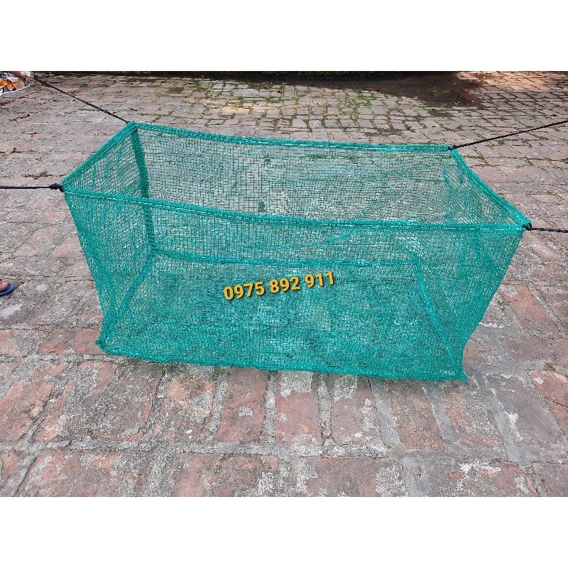 TRÁNG LỌC ỐC NHỒI GIỐNG