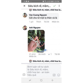 [CHÍNH HÃNG] Siêu Kích Rễ VMC