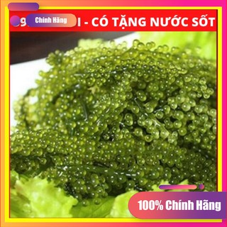 [Free ship - Chính Hãng] Rong nho Sabudo tách nước chính hãng - 1 gói dùng thử ( 1 hộp 12 gói nhỏ )