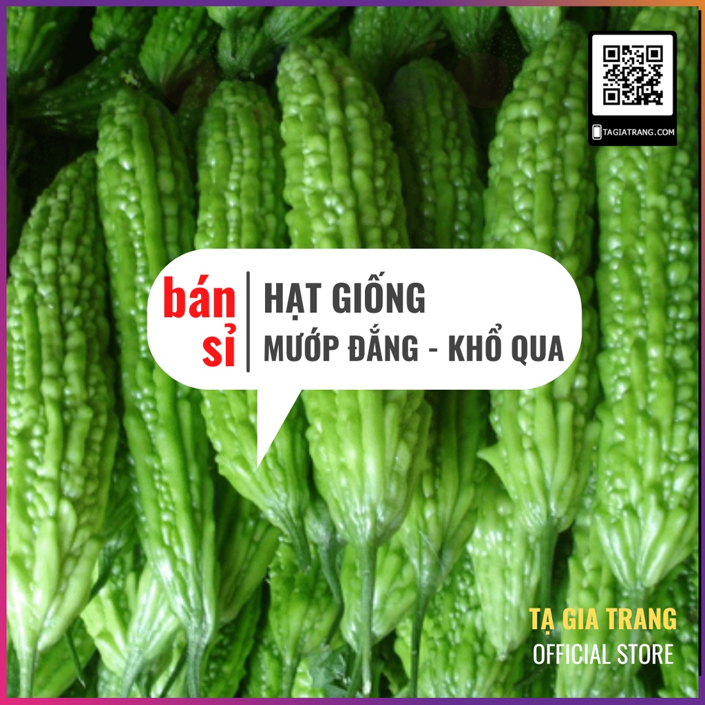 [Bán sỉ] - Hạt giống mướp đắng (khổ qua) trái dài F1 - Gói 2g