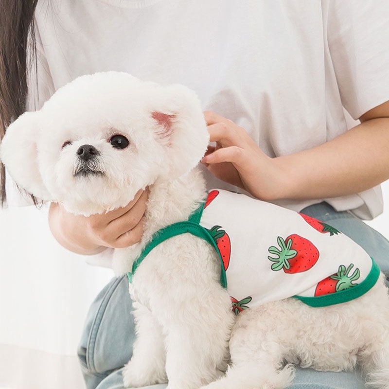&lt;cutepethome&gt;Áo Thun Xuân Thu Cho Thú Cưng