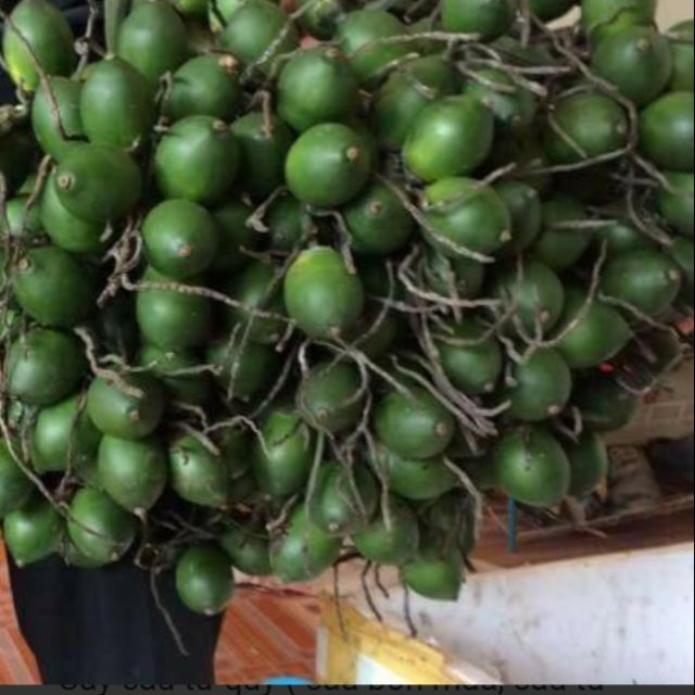 3 cây cau tứ quý 90k