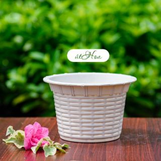 [ Thanh lí] Chậu để bàn Mây tròn