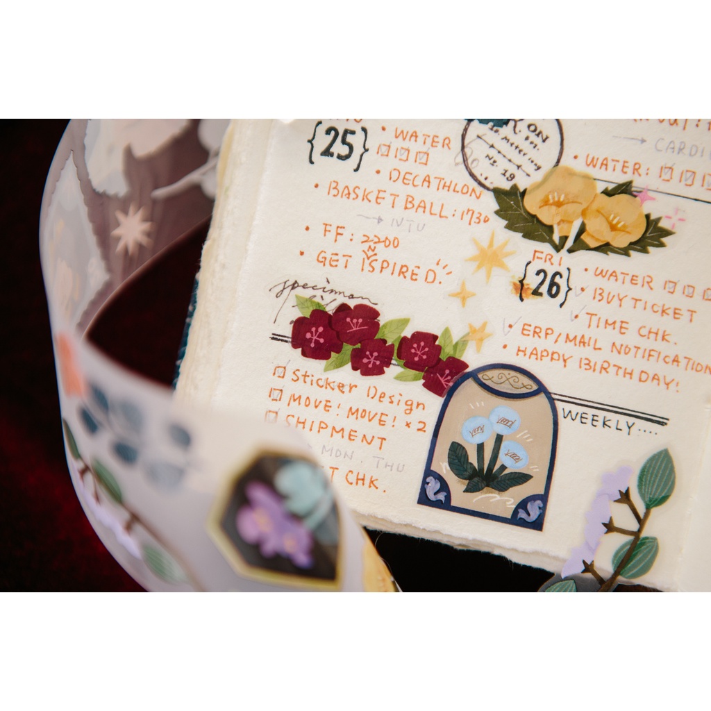 AM138 Cuộn washi Ours Beautiful Moment - Chiết lẻ chu kỳ