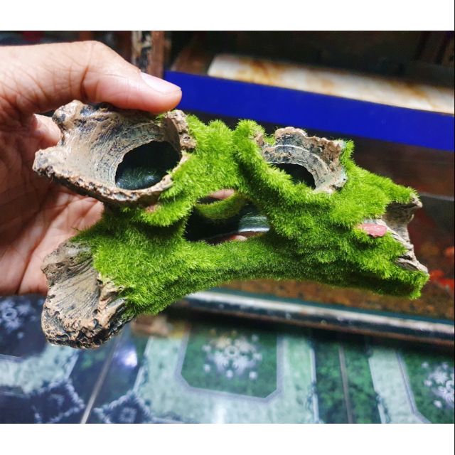 CÂY LỦA GIẢ PHỦ RÊU TRANG TRÍ HỒ CÁ NON BỘ 14X5X6CM