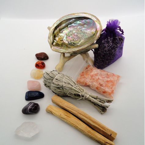 SET TIỆN ÍCH LỚN (Đĩa ốc Size L + Đế gỗ Size L)_SAGE GARDEN | BigBuy360 - bigbuy360.vn