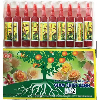1 hộp 10 ống thuốc Kích rễ cho cây Giâm chiết cành MD901