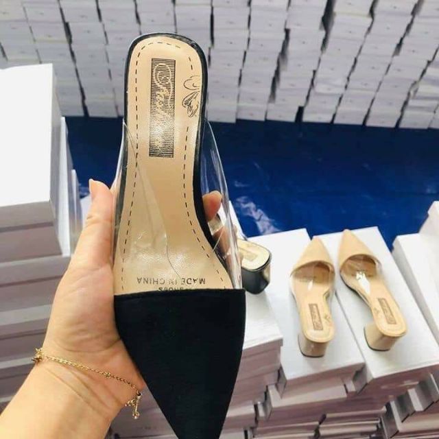 Sục trong pha mũi