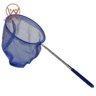 Vọt lưới bắt bướm cá ngoài trời