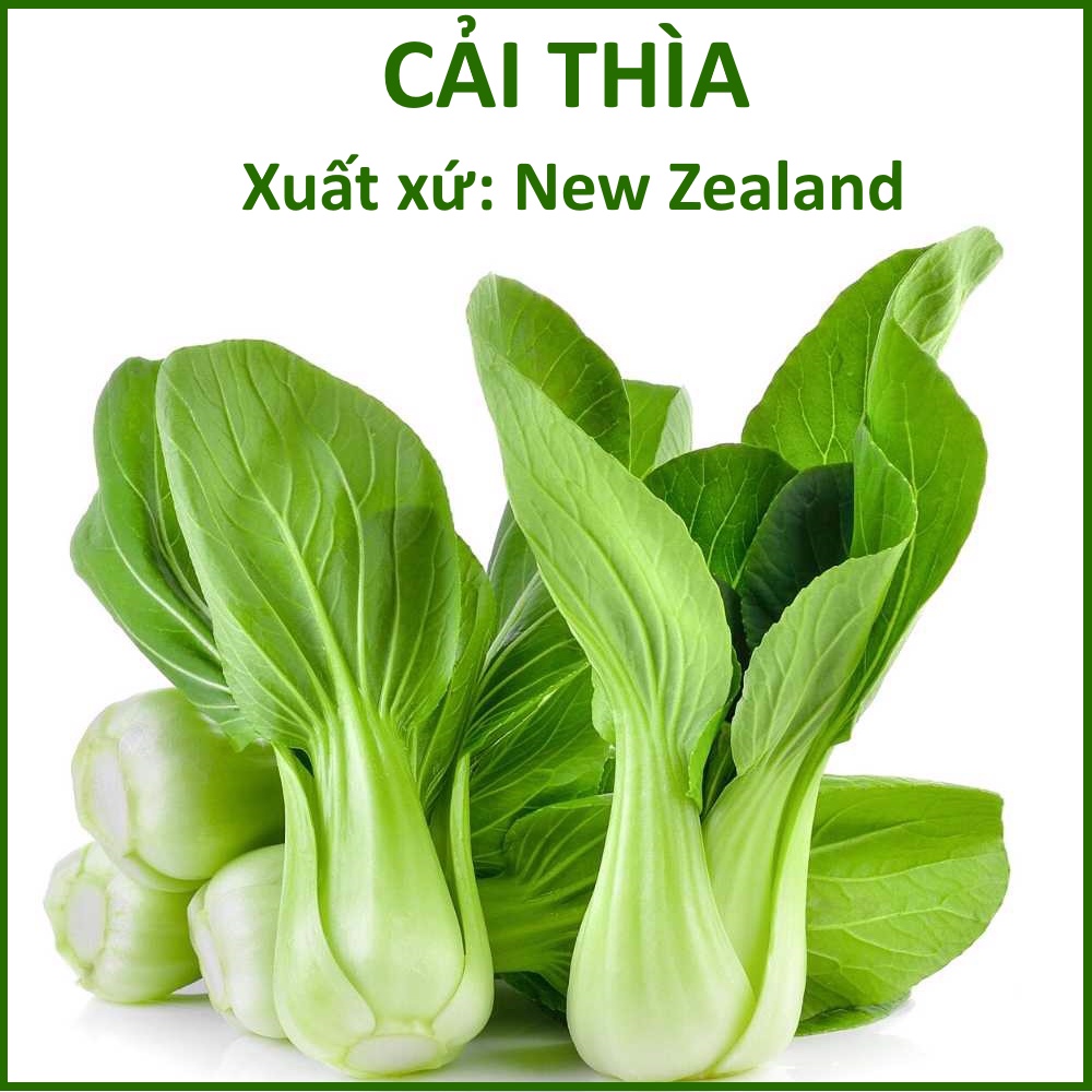 Hạt Giống Cải Thìa - Xuất xứ New Zealand