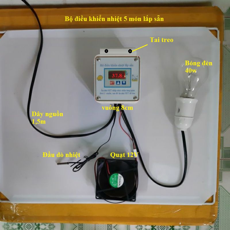 Máy ấp trứng tự động- Bộ điều khiển nhiệt và hẹn giờ