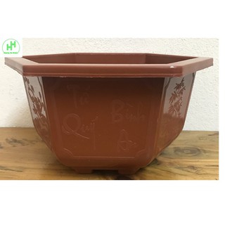 1 Châu Nhựa Bonsai Lục Giác Bình Thuận 250x150 Trồng Hoa, Cây Cảnh,