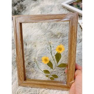 Khung Tranh hoa khô trong suốt trang trí nhà cửa