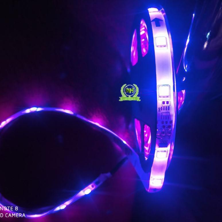 Cuộn 5M Led Nháy Đuổi 12VDC Không Cần Điều Khiển Có Keo Chống Nước Loại Tốt