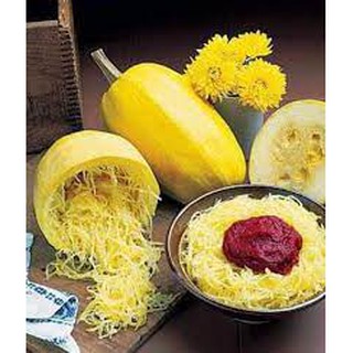 Hạt giống bí  mì sợi ( gói 5 hạt)