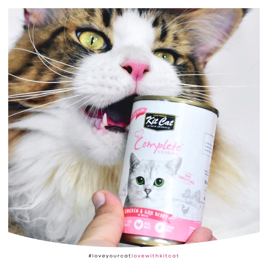 Kit Cat lon thức ăn ướt Cá ngừ 150g cho mèo dạng sốt