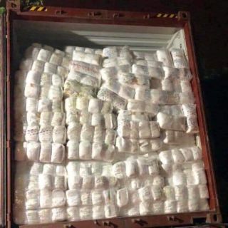 BỈM QUẦN trần Hippig mặt lưới 3d siêu SALE 100m/100l/100xl/100xxl/100xxxl
