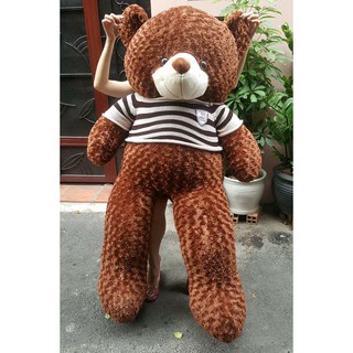 Gấu bông Teddy Cao Cấp khổ vải 1m4 Cao 1,2 màu Nâu hàng VNXK- Best Bear