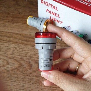 Đèn báo pha điện phi 22 có hiện thị điện áp