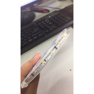 Led dây dán zic zac cuộn 10m