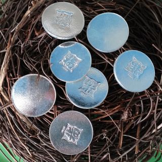 Đồng xu bạc cạo gió đánh cảm bạc ta 925 trong lượng gần 2 chỉ