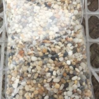 1kg Sỏi rải trang trí chậu cây, bể cá