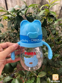 Bình sữa 2in1 Panda - Made in Japan