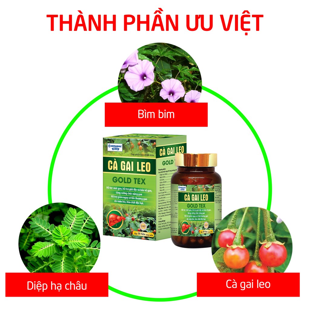 Viên uống bổ gan Cà Gai Leo Gold Tex mát gan, giải độc gan - Hộp 50 viên | BigBuy360 - bigbuy360.vn
