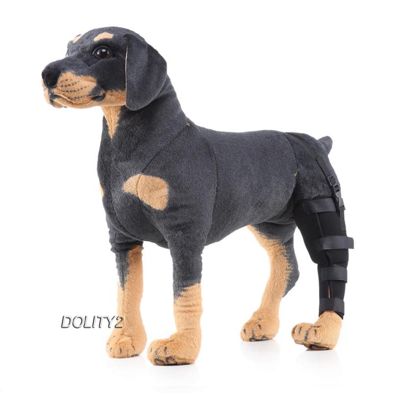 Đai Đeo Trái / Phải Bảo Vệ Chân Cho Chó Dolity2 S
