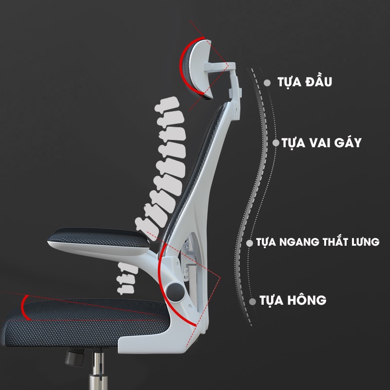 Ghế xoay văn phòng công thái học đa điểm tựa chống mỏi bọc đệm 7cm phủ vải lưới thoáng khí noithatcaocap86