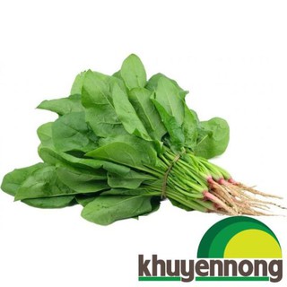 Gói 10gr hạt giống rau chân Vịt cải bó xôi