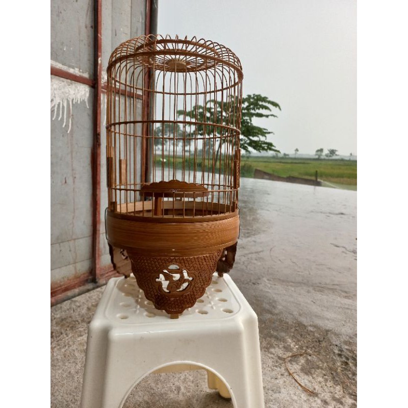 Khuyên đục chân tấm