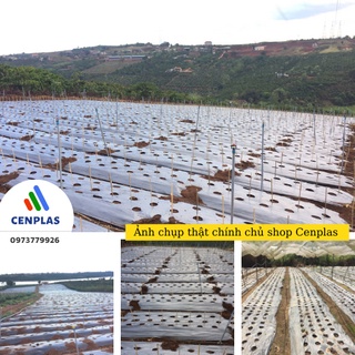 Combo 2 cây màng phủ nông nghiệp Cenplas-1m*400m*25micro-Màng Pe phủ đất, nilon lót sàn trải nền đổ bê tông