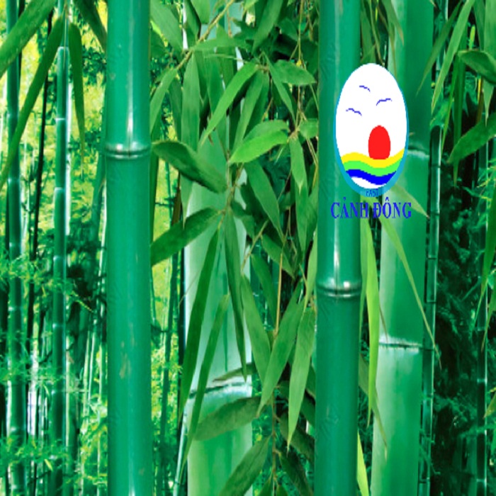 Giấy dán tường rừng tre trúc xanh mát đẹp mắt sẵn keo dán trên kính, gỗ