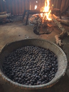 Hạt SACHI rang mộc