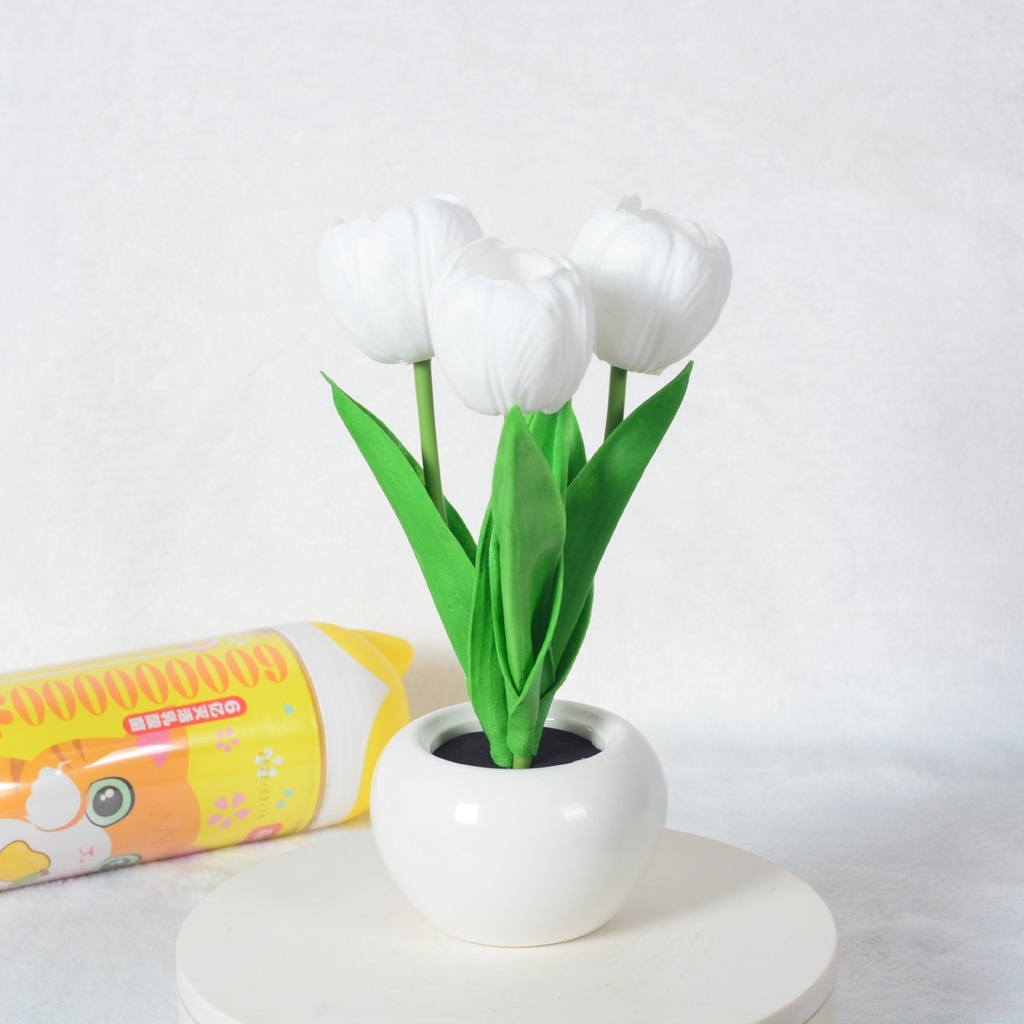 Đèn ngủ hoa tulip trang trí để bàn , phòng ngủ cực đẹp