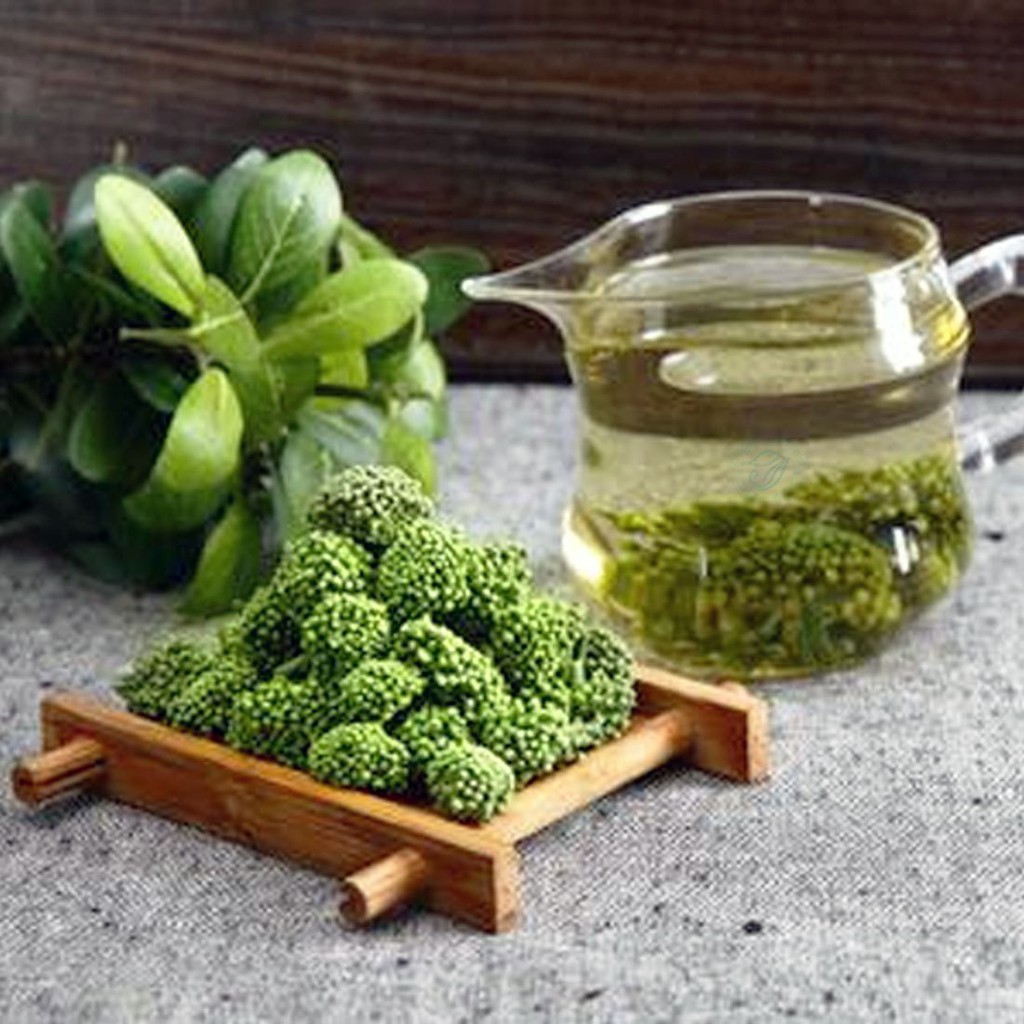 Trà nụ hoa Tam Thất sấy lạnh