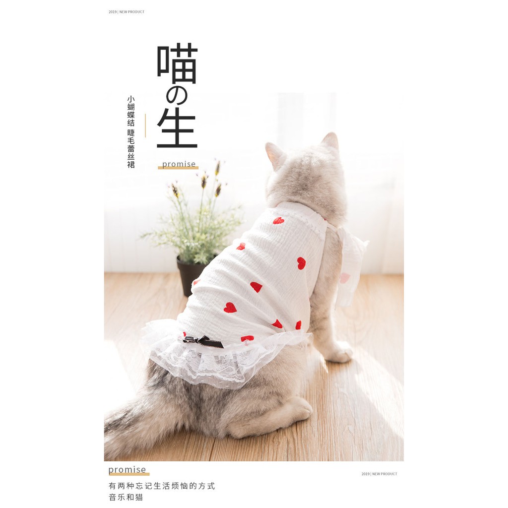 áo đầm ren xòe trái tim dành cho chó mèo