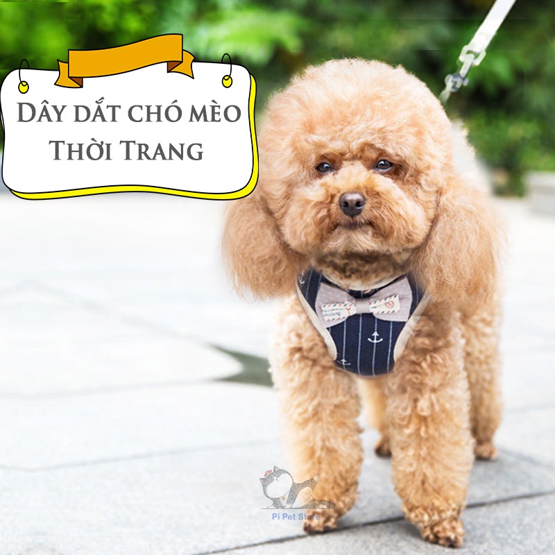 Dây Dắt Chó Mèo Thời Trang - Áo Dắt Chó Mèo Buộc Nơ - Pi Pet Store