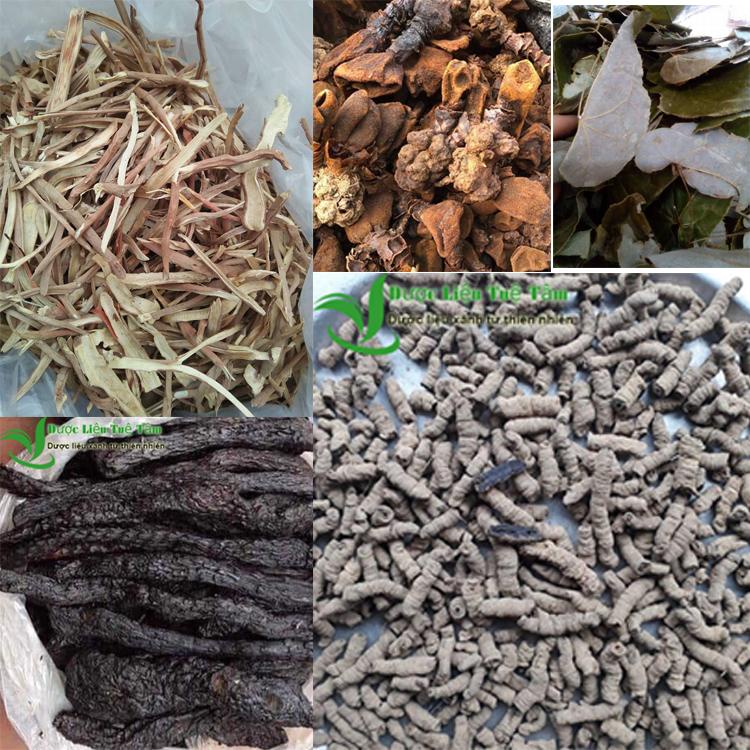 COMBO Sâm cau + nấm ngọc cẩu + dâm dương hoắc + ba kích tím + Nhục thung dung