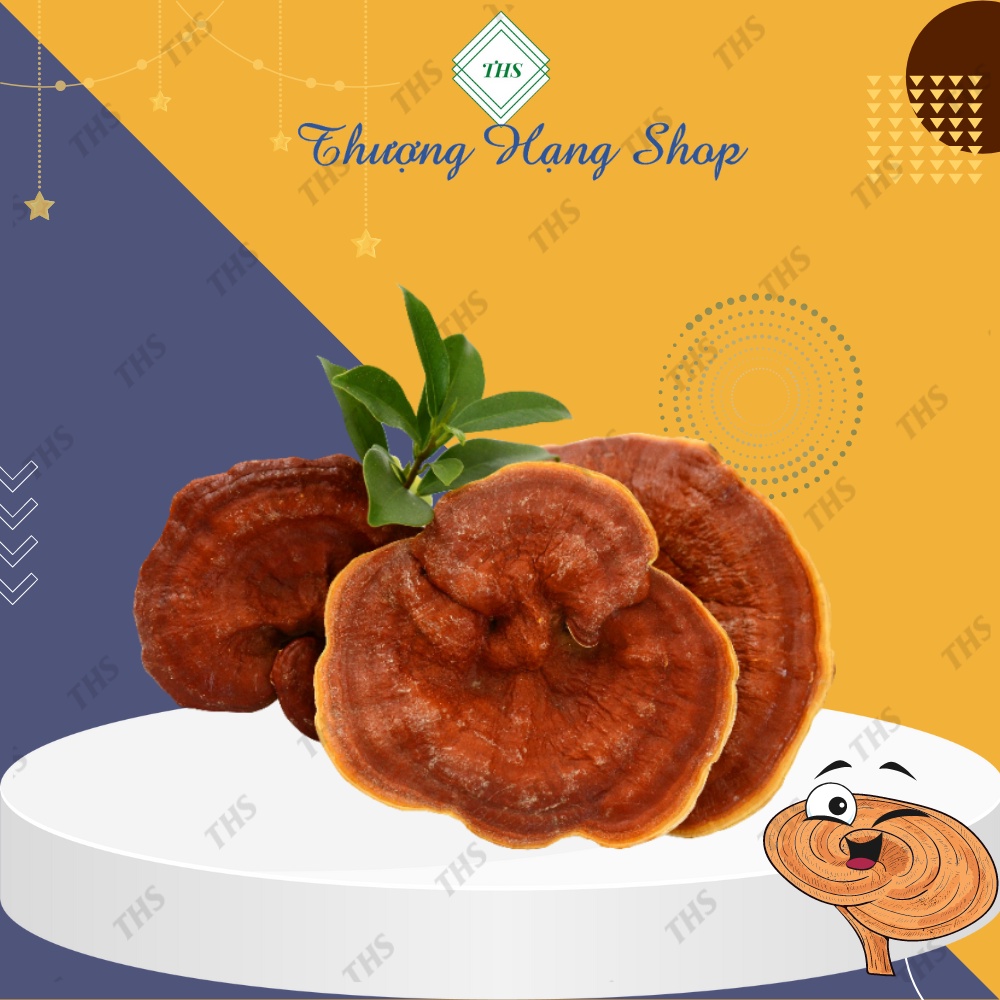 Nấm Hồng Chi - tăng cường sức khoẻ, hỗ trợ tăng cường chức năng gan, cải thiện sinh lý chống lão hoá