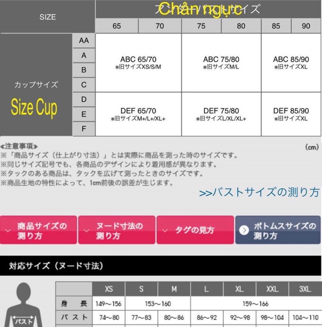 Áo ngực không gọng Uni mẫu 2022 chính hãng | BigBuy360 - bigbuy360.vn