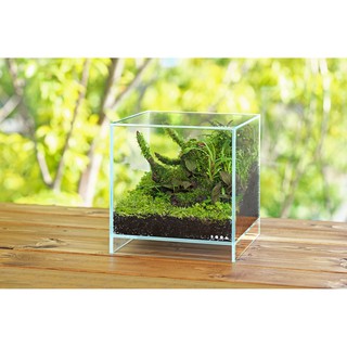 Gỗ lũa mini (20-30 cm)